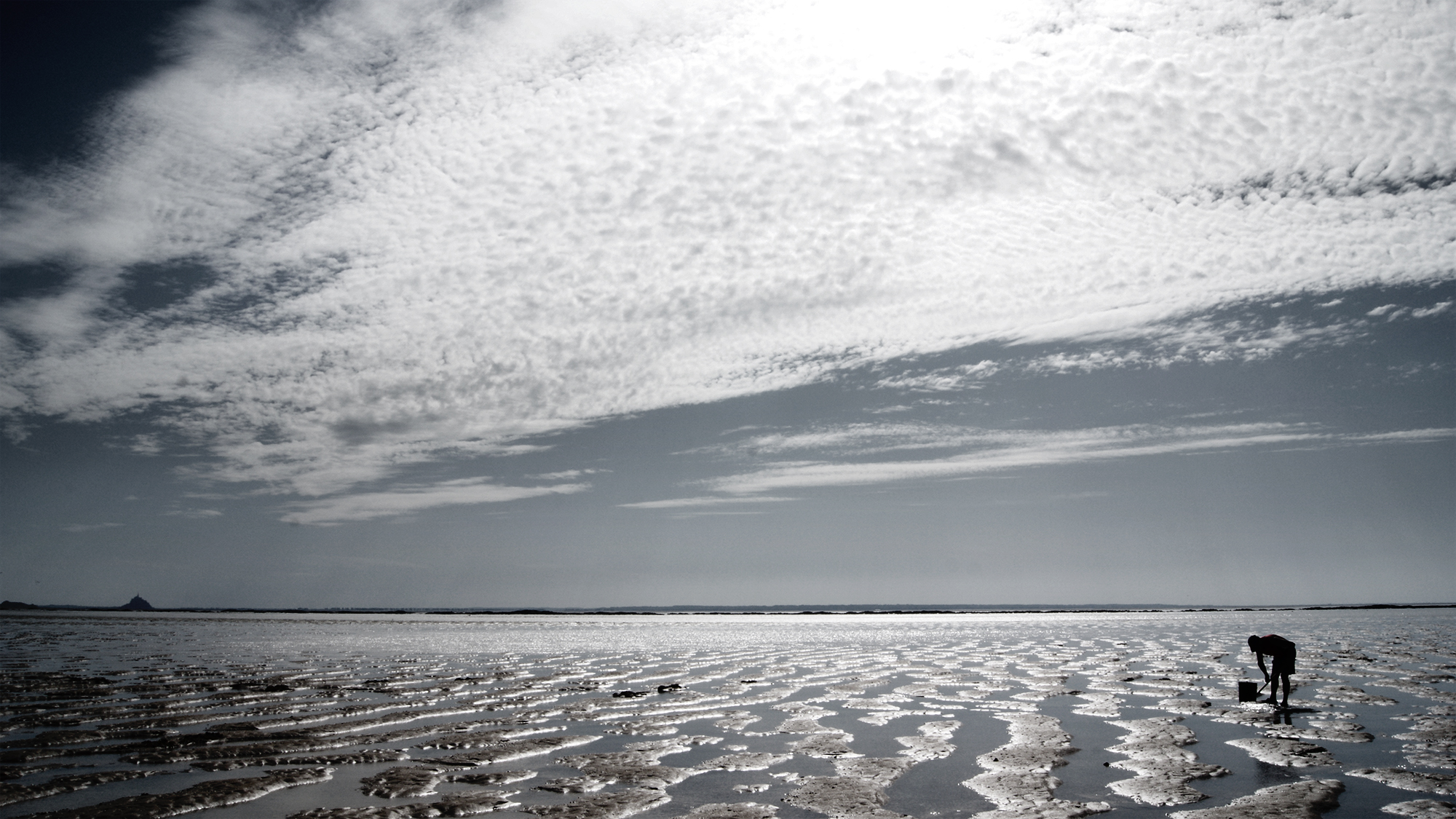Pêcheur à pied dans la baie du Mont-Saint-Michel