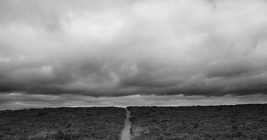 photo noir et blanc sentier landes ciel nuageux