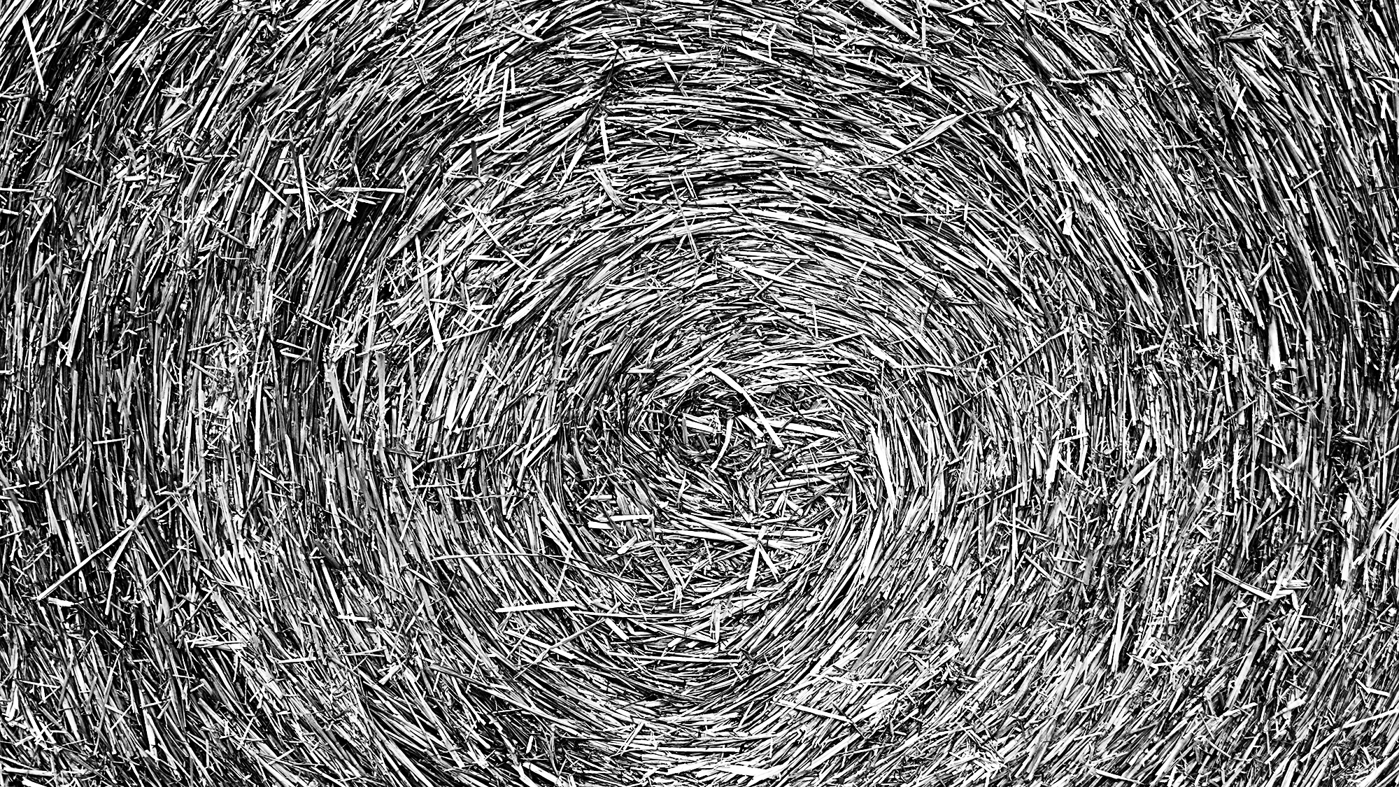 Circonvolution : gros plan sur une botte de paille