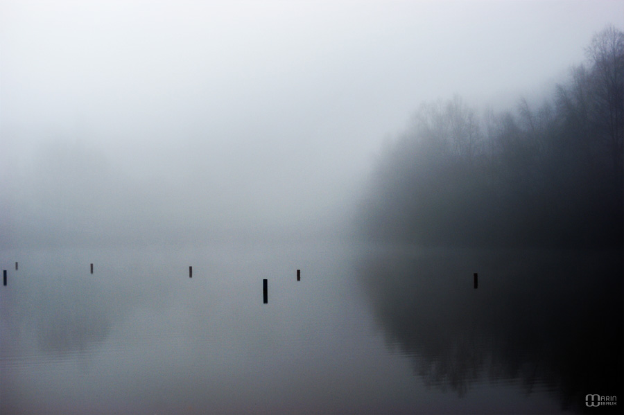 Brouillard sur étang