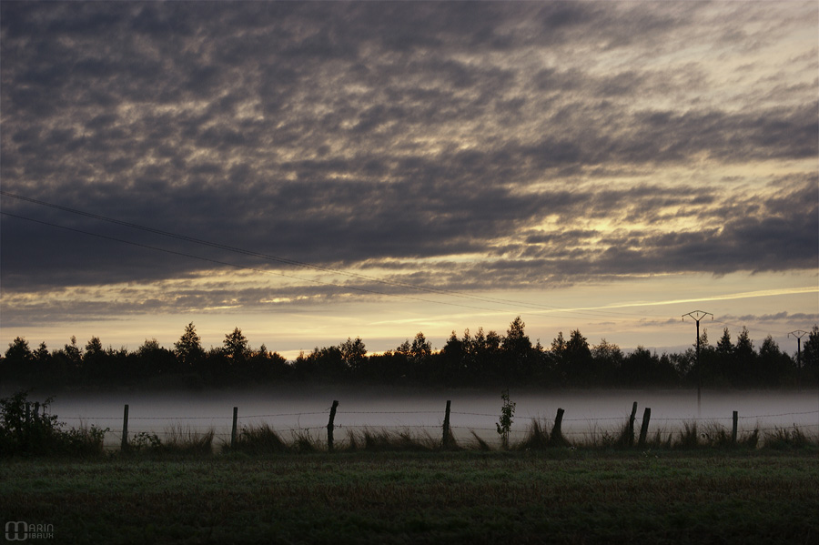 Brume matinale