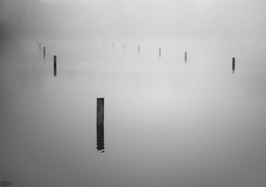 Plots sur l'eau d'un étang dans le brouillard