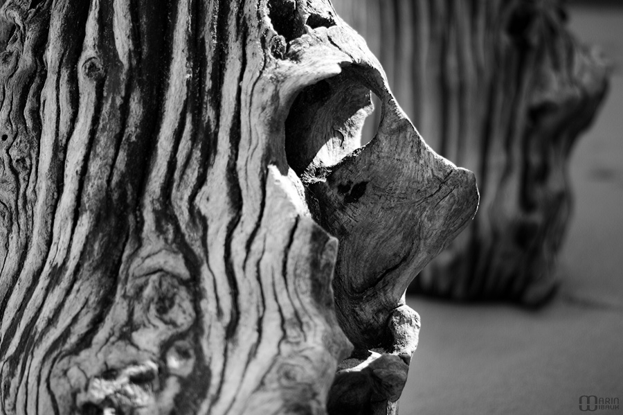 Visage de bois d'un brise-lame de St-Malo