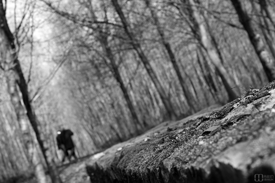 Balade du couple en forêt