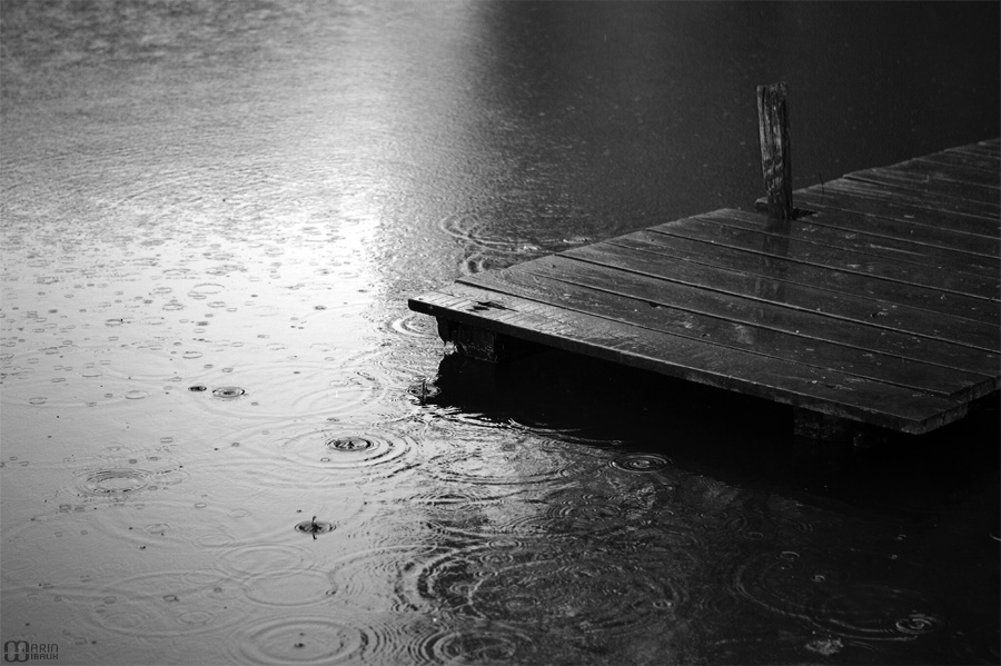 Pluie sur étang