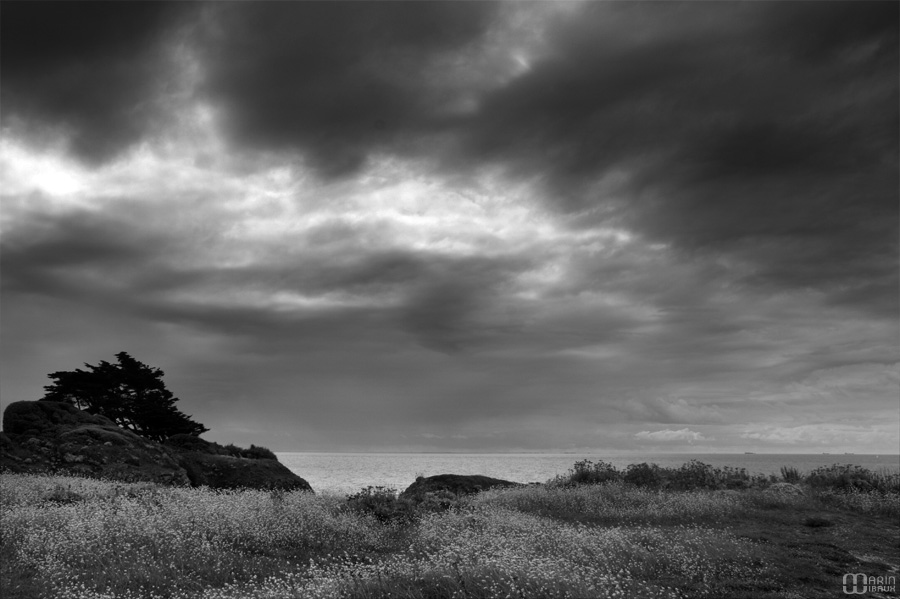 Côte sauvage de Bretagne Loire Atlantique