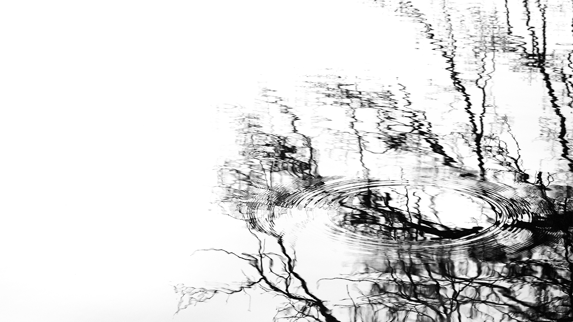 Calme et ondulation : ondes et reflets