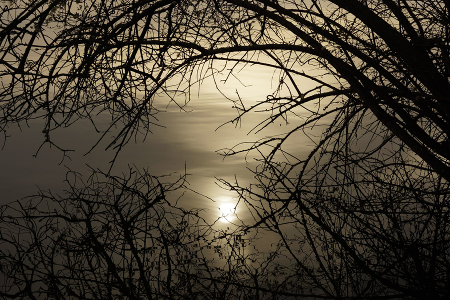 Soleil dans un nid de reflet sur un étang