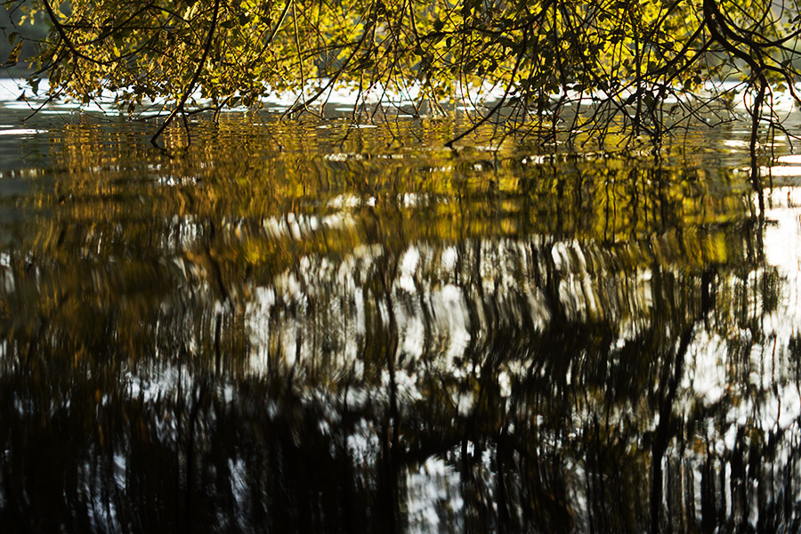 Reflet d'automne