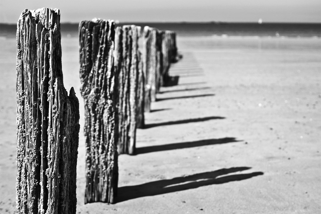 Pieux de plage à St-Malo