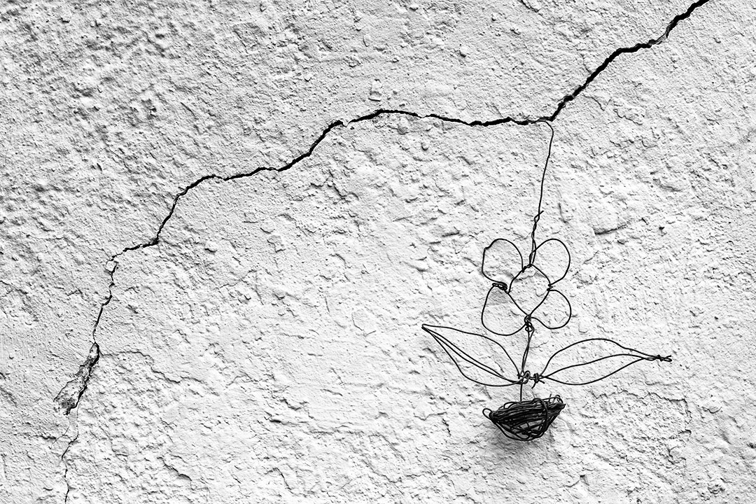 Fleur en fil de fer sur un mur extérieur