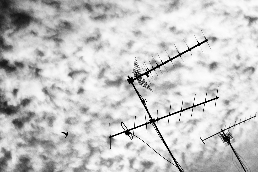 Antennes et martinet