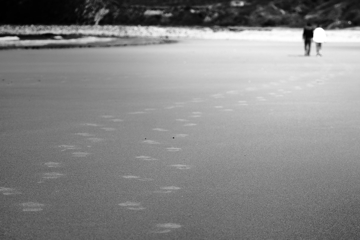 Traces de pas dans le sable d'une plage d'un couple en promenade