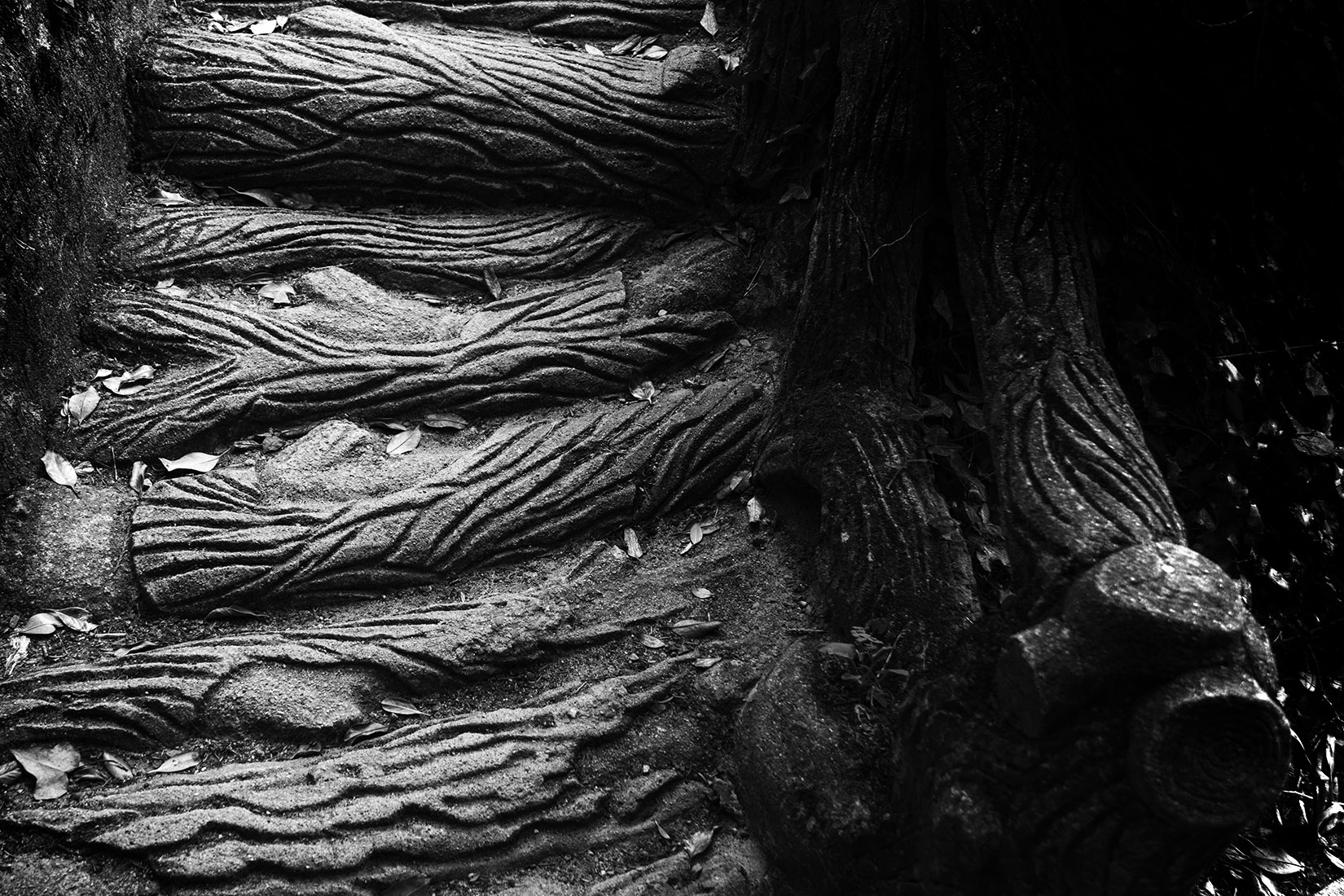 Rusticage : escalier de maçon