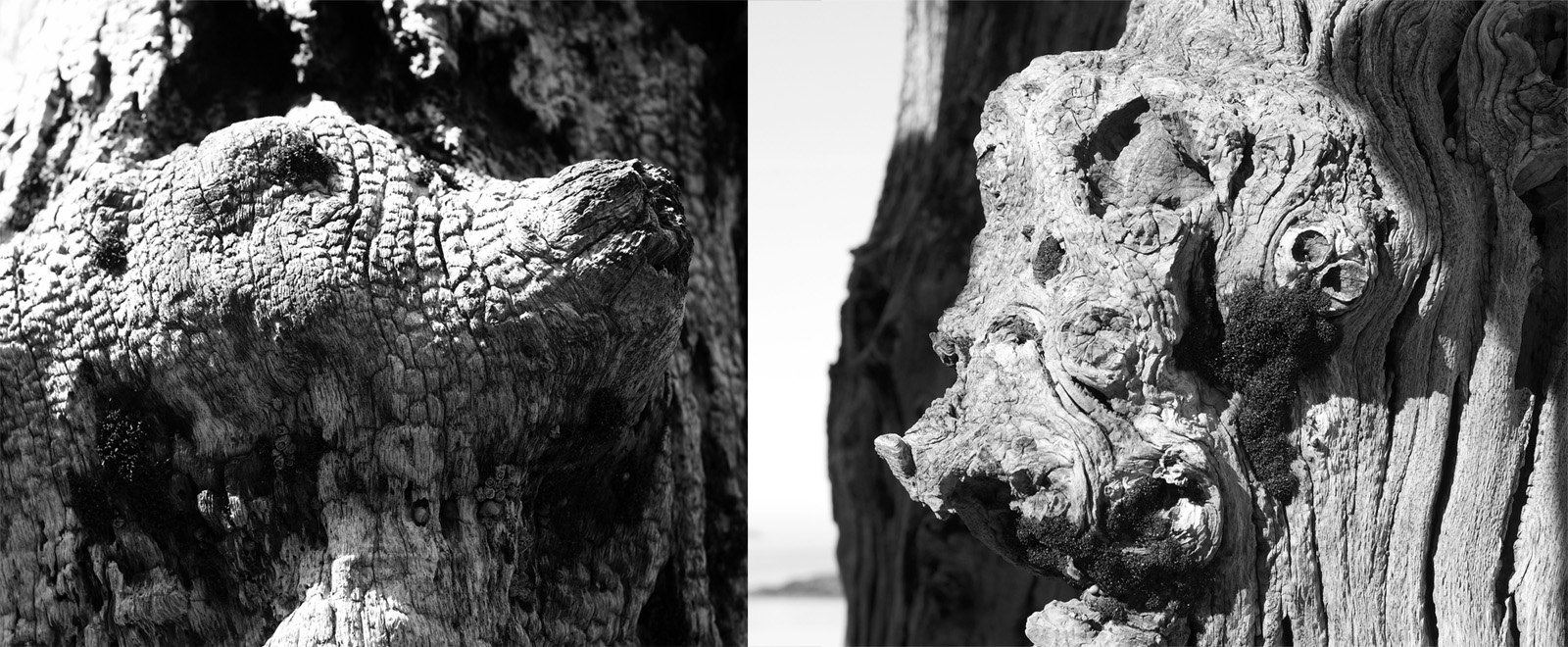 Brise-lames de Saint-Malo : détail