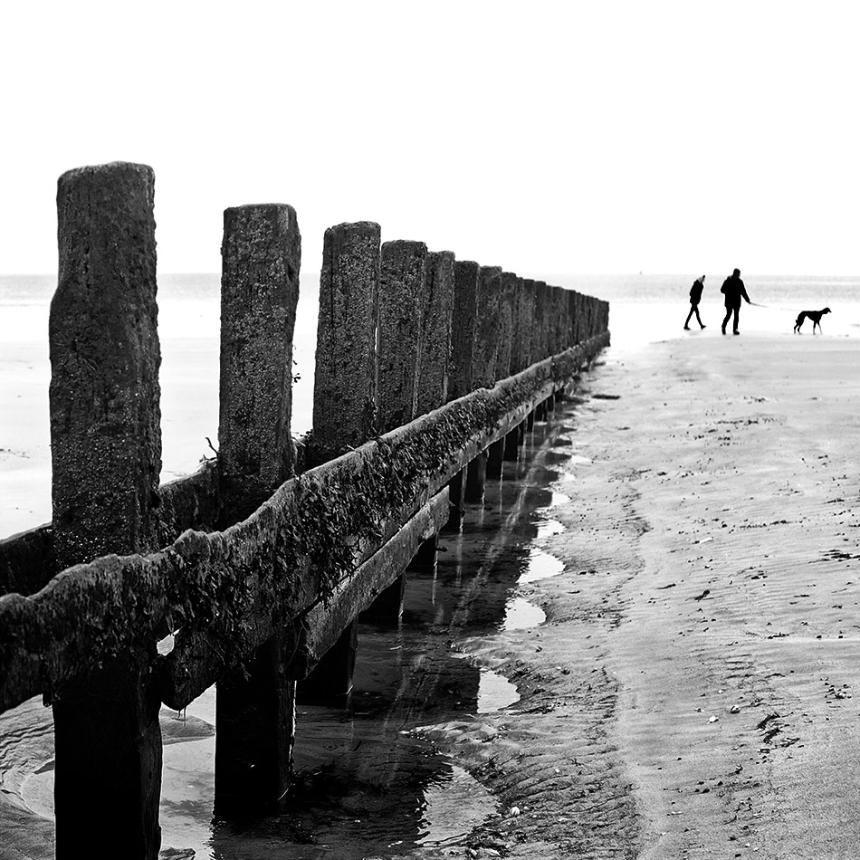 Promeneurs sur une plage au delà des brise-lames