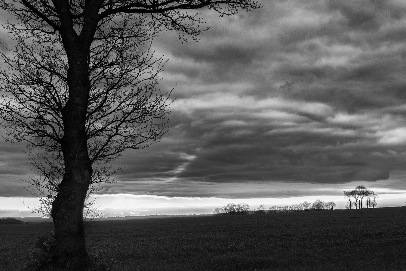 Coucher de soleil en campagne avec arbre en contrejour et jeu de contraste dans les nuages ; noir et blanc