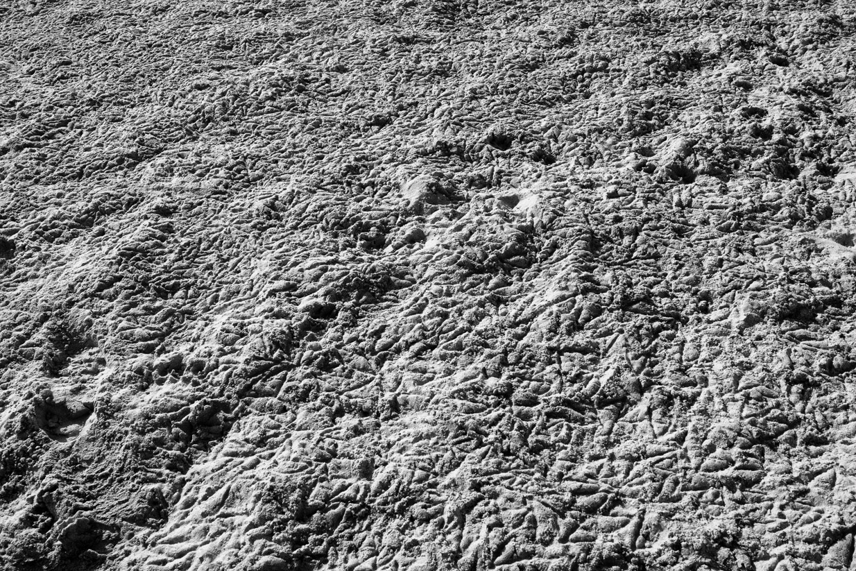 Traces de pates de goélands sur le sable