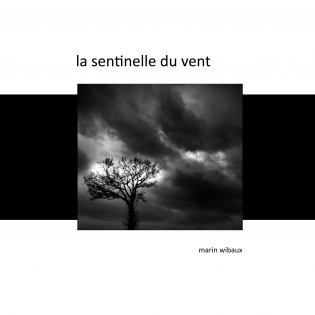 La sentinelle du vent - recueil de poésie et photo noir et blanc