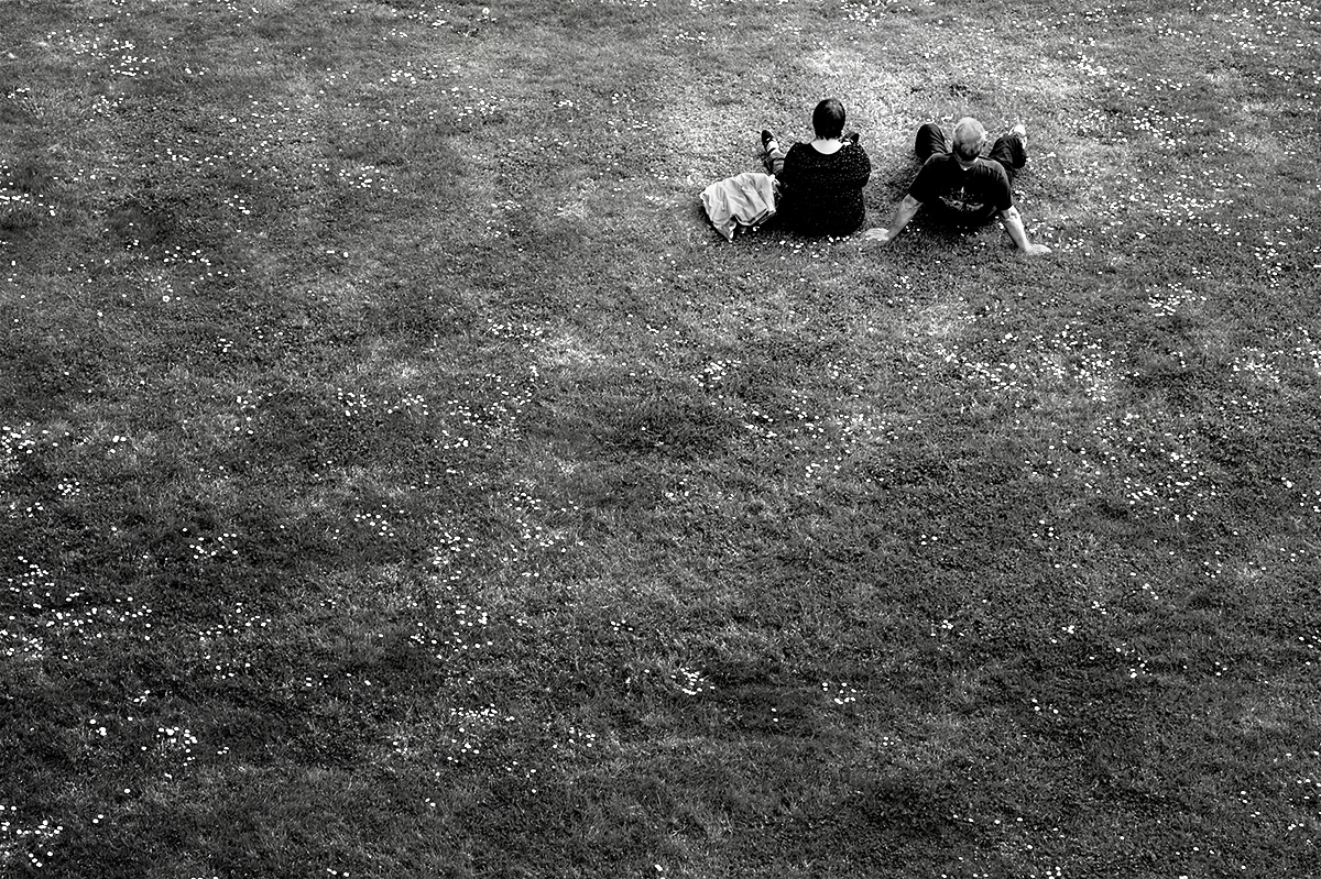 Couple en pause assis dans les pâquerettes de la pelouse d'un jardin public