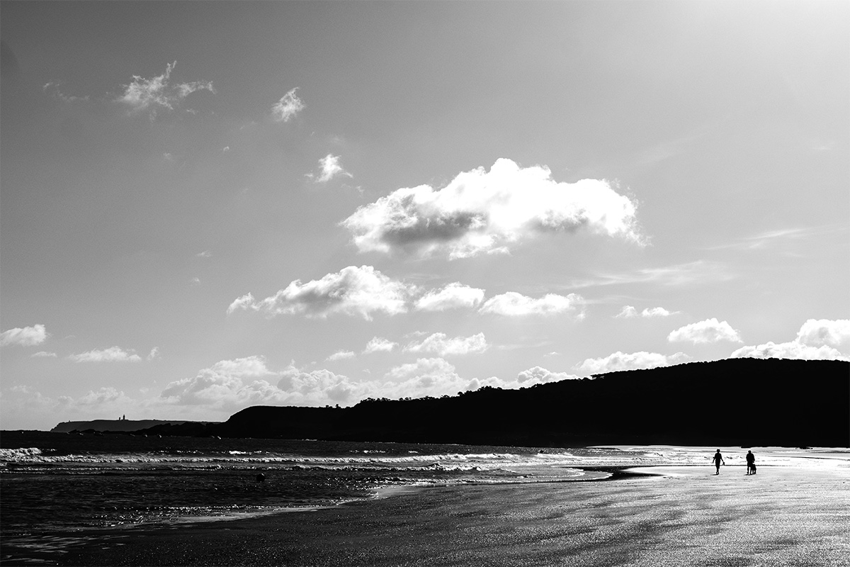 Balade du chien sur une plage