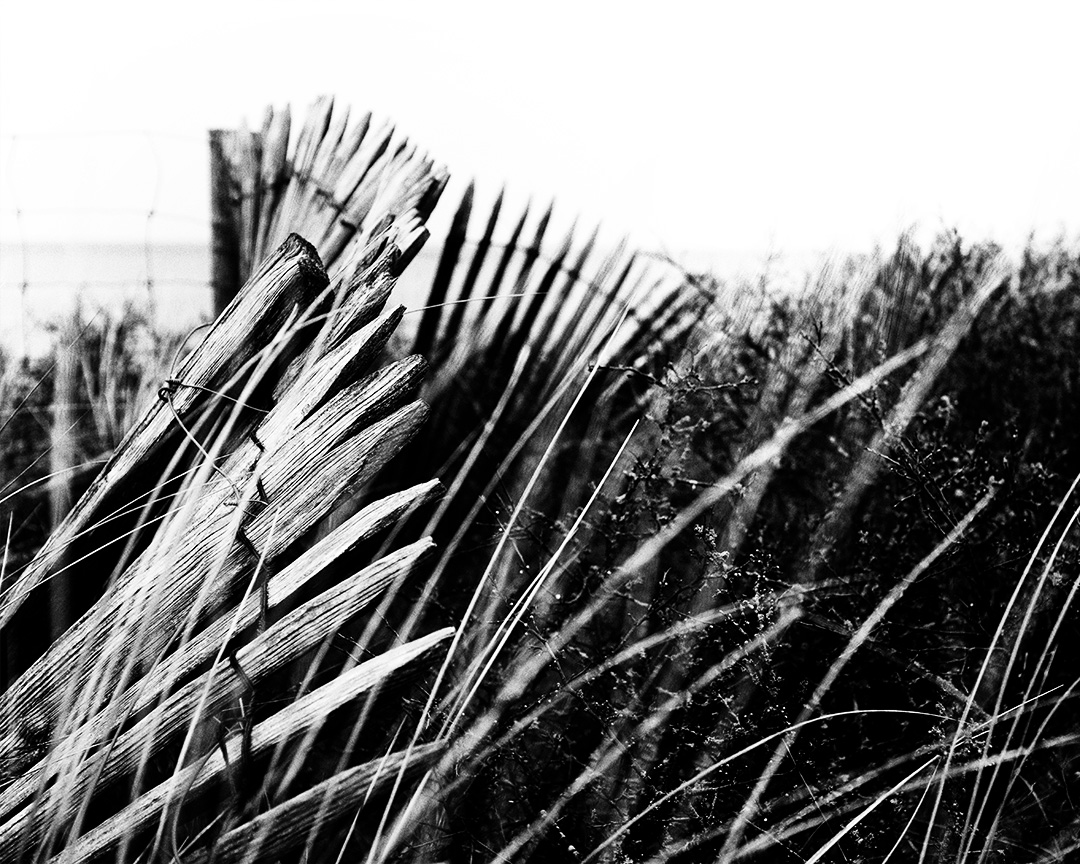 Ganivelles en noir et blanc : des clôtures de plages et bords de mer