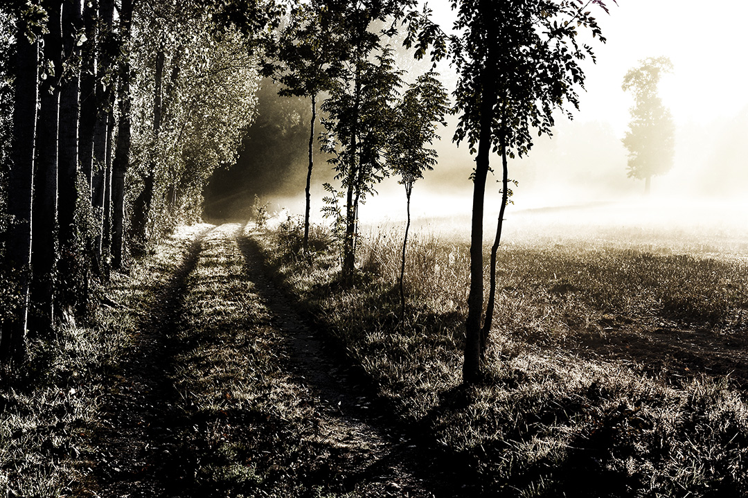 Levé de soleil sur un chemin de campagne