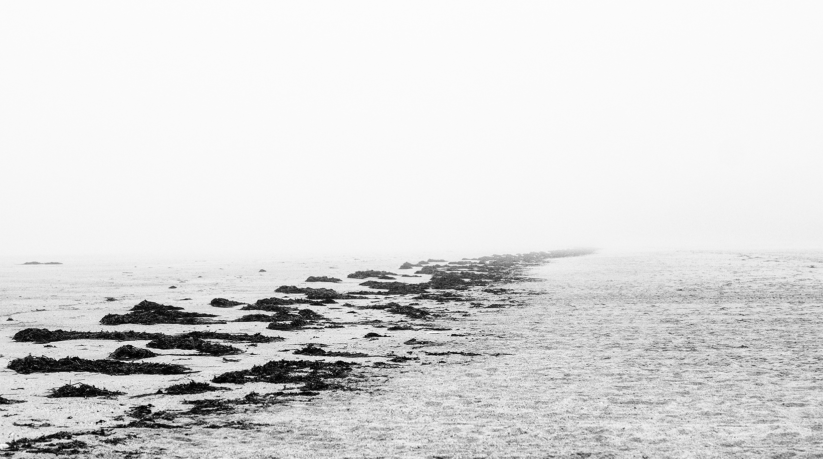 Plage à marée basse : ligne d'algues et brume