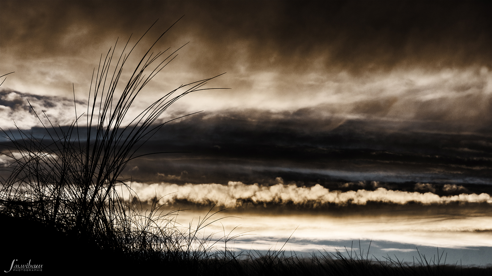 Coucher de soleil sur les dunes