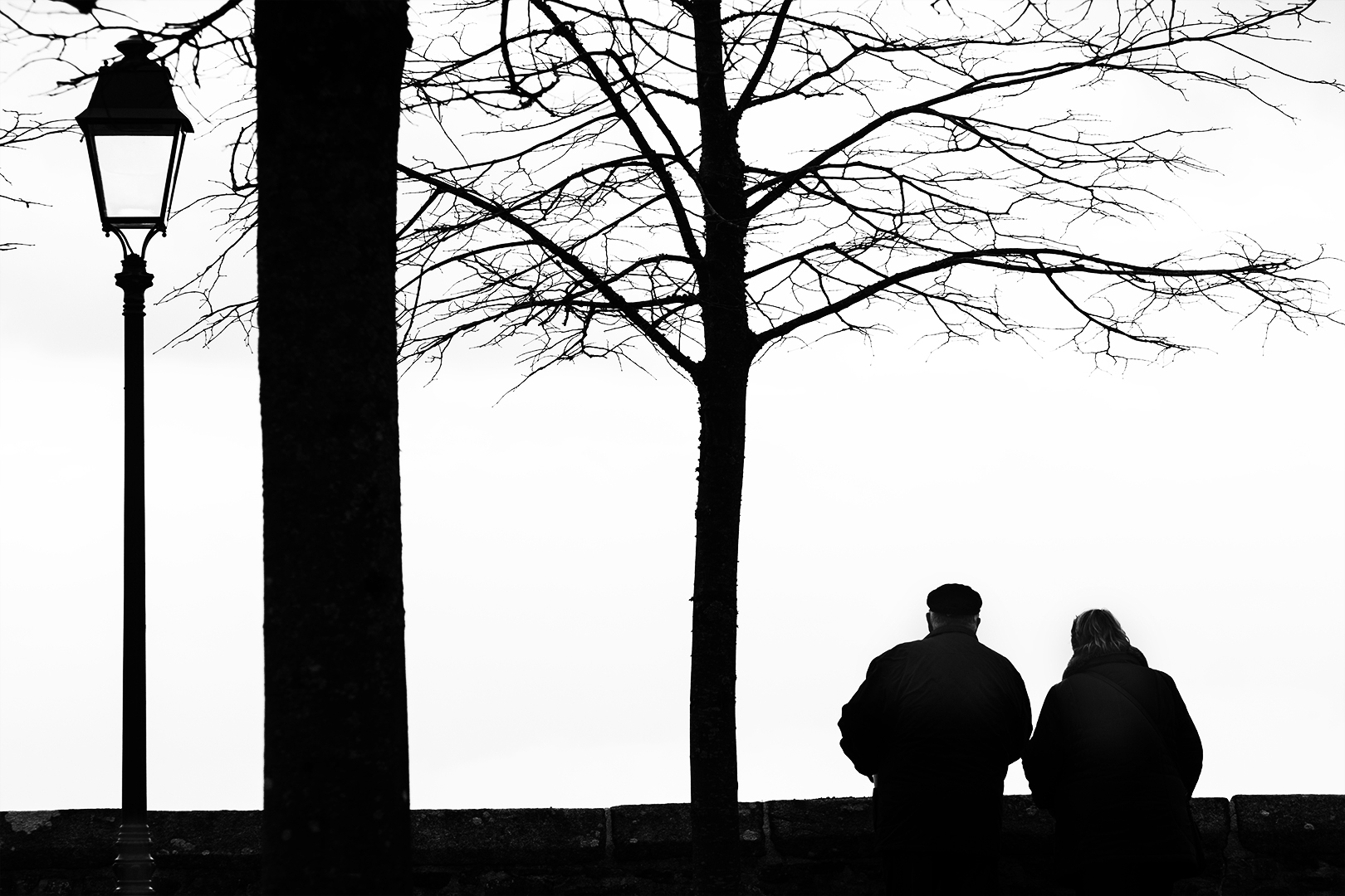 Couple de dos sous un arbre et un lampadaire dans un jardin public