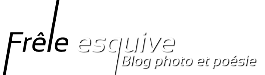 Logo de Frêle esquive : blog photo et poésie