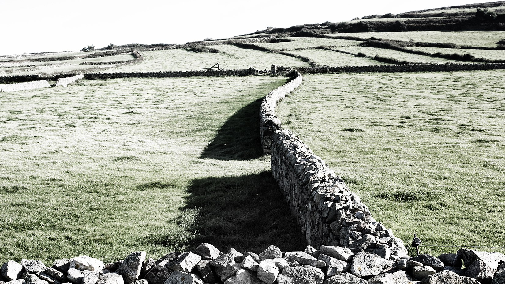 Murets serpentins du Cotentin