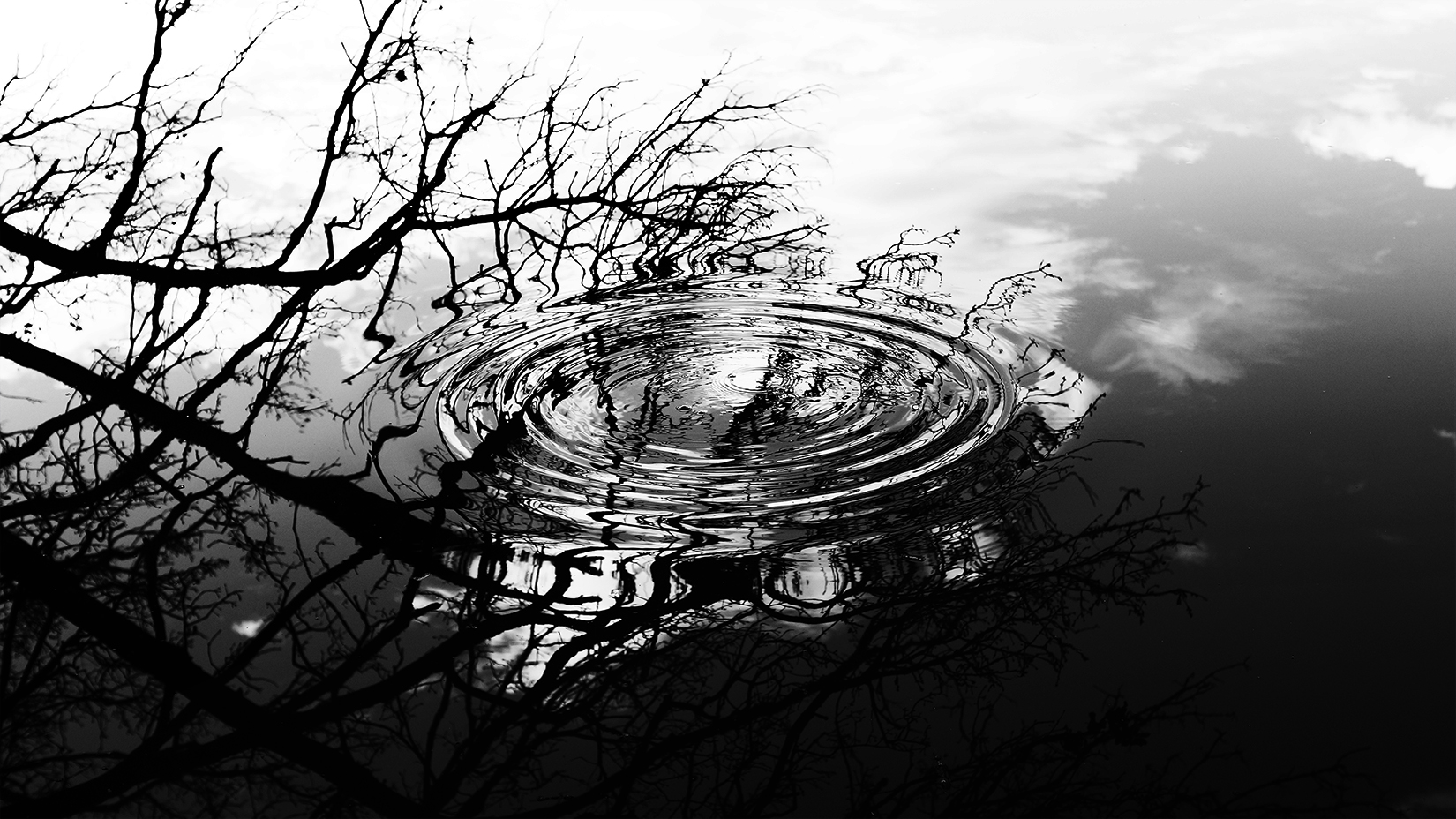 Ondoyance et oscillations