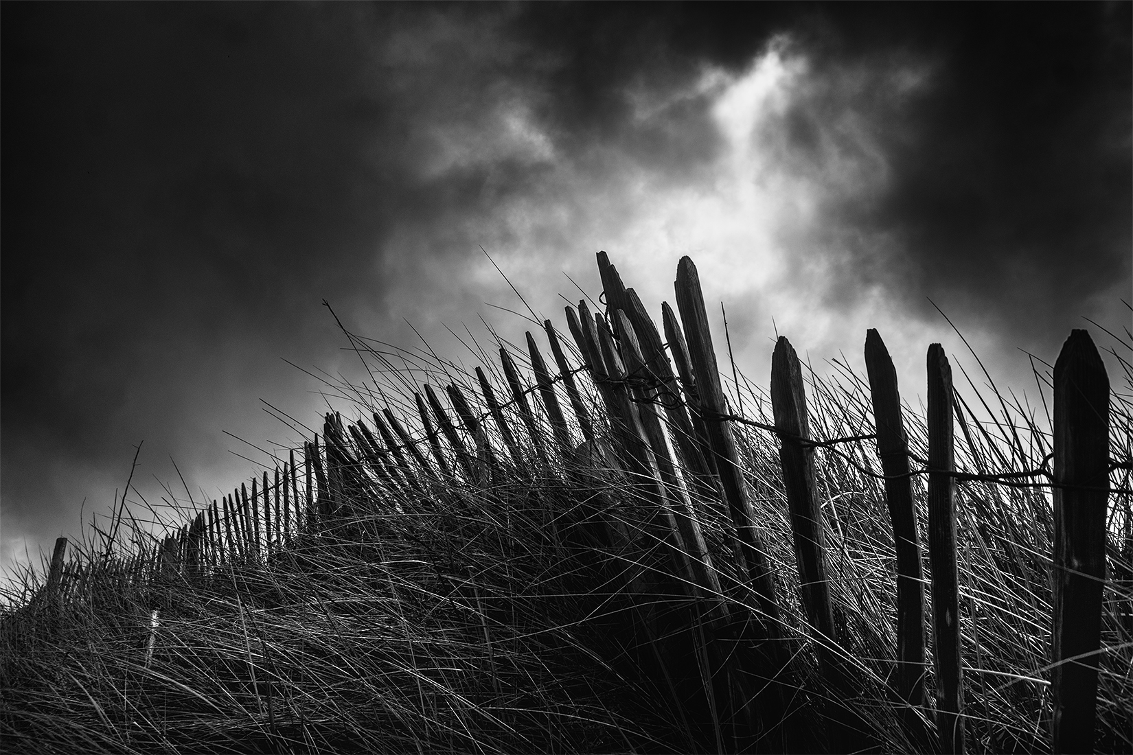 Ganivelles sous les nuages de Bretagne