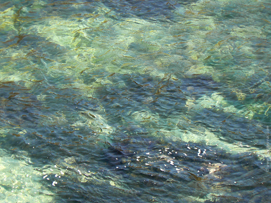 Eau de mer froissée par une risée