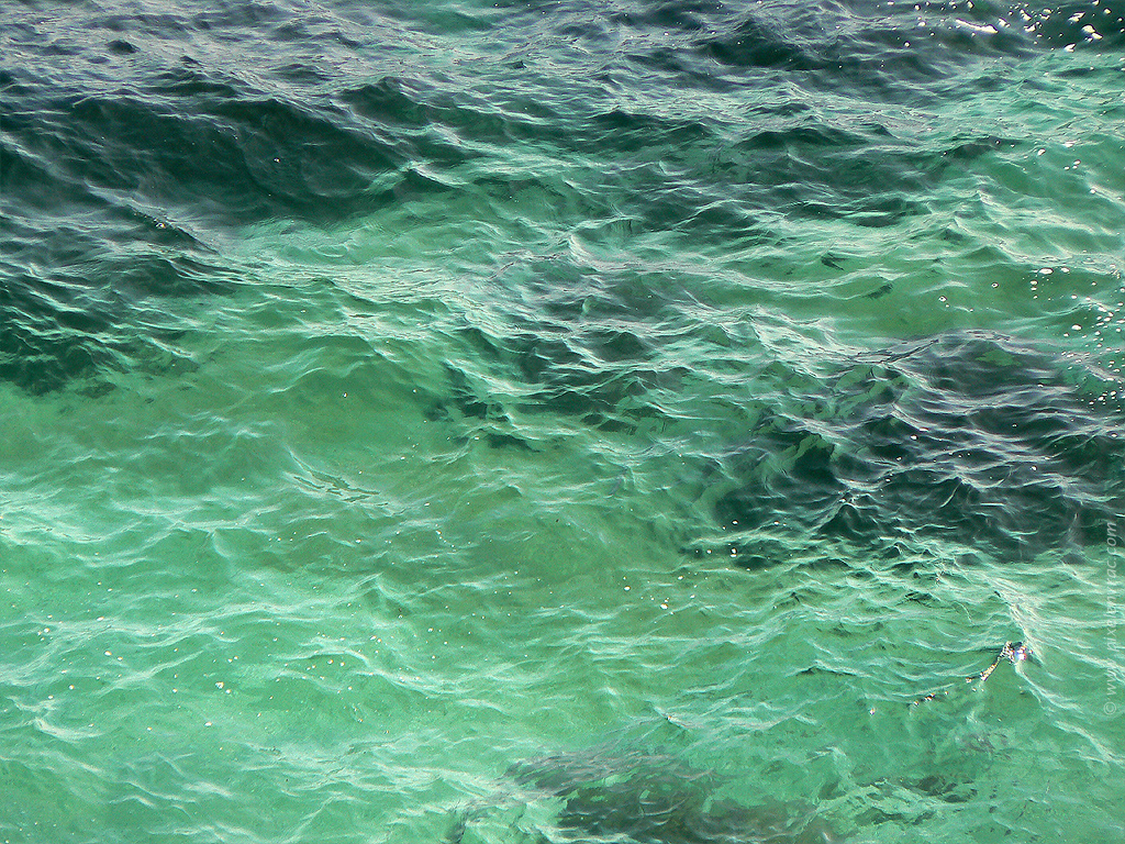 Eau de mer et vaguelettes