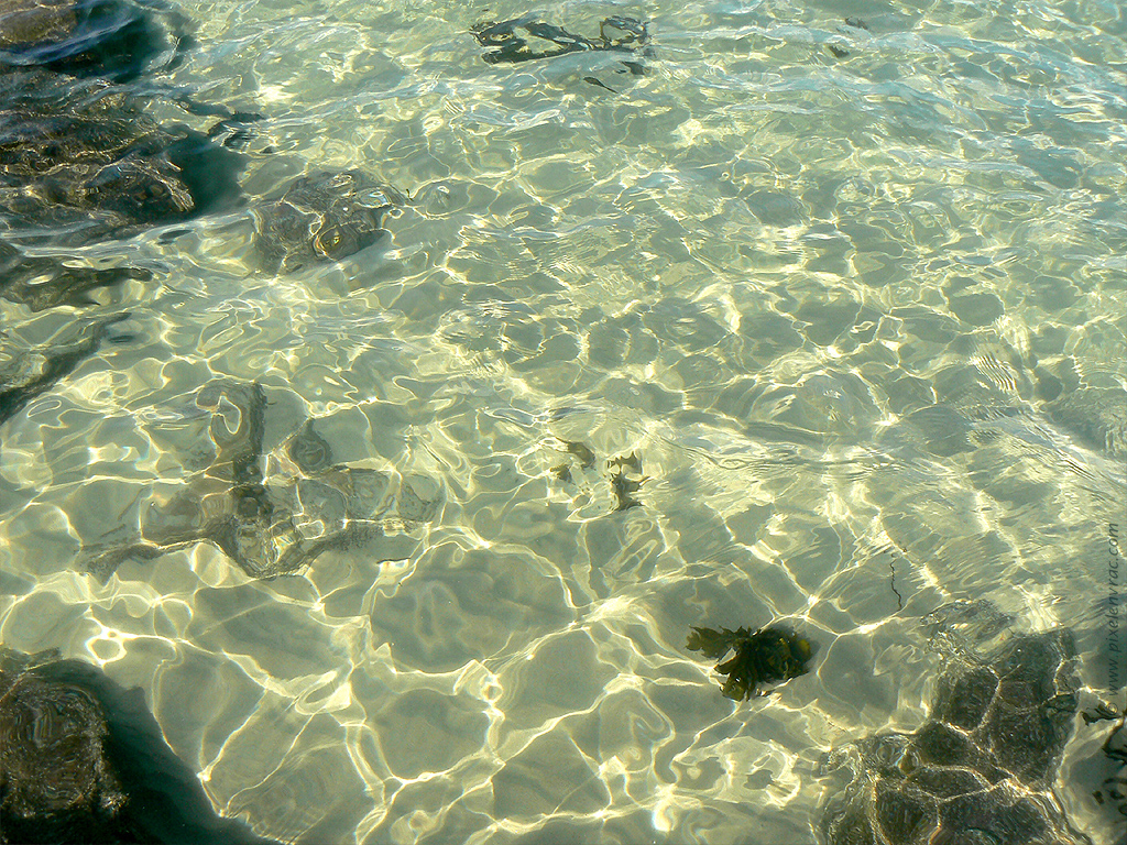 Eau de mer sur fond de sable