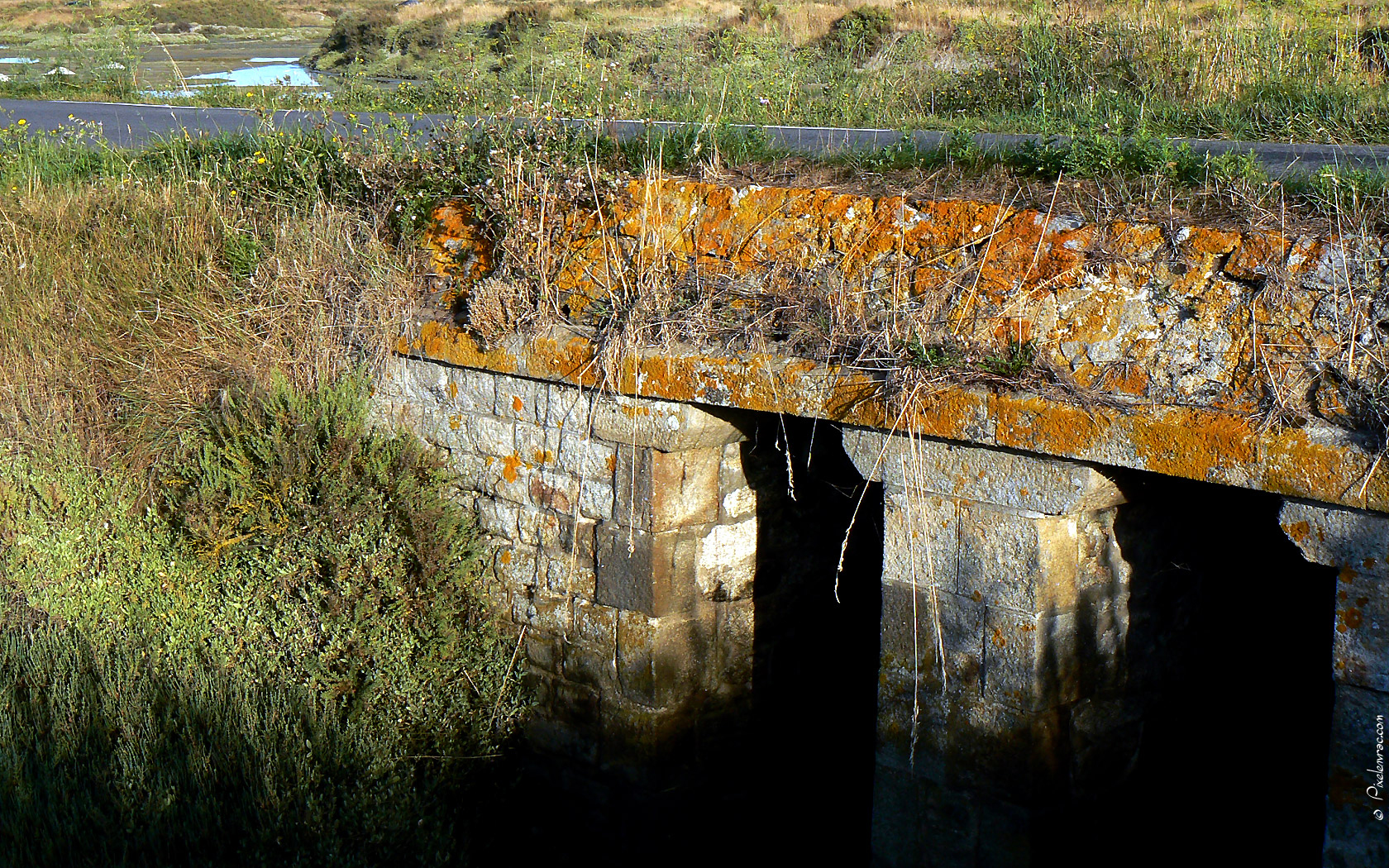 Passer le pont dans les marais salants