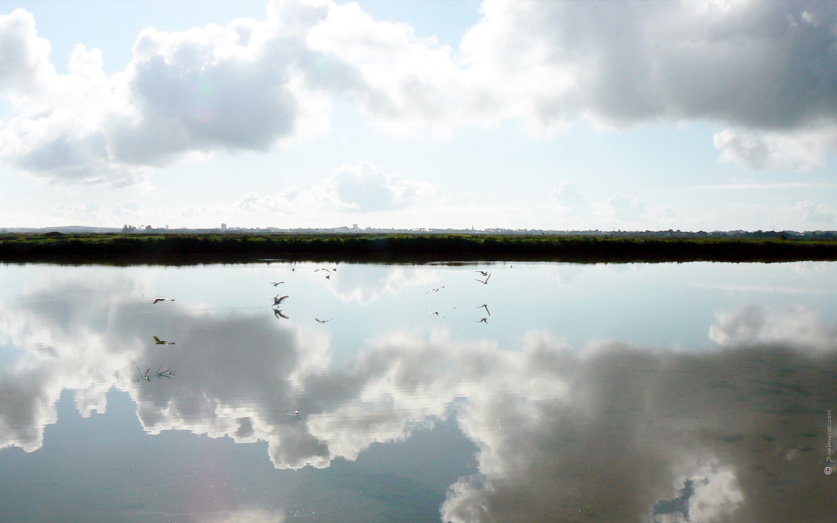 Reflet sur l'eau des marais