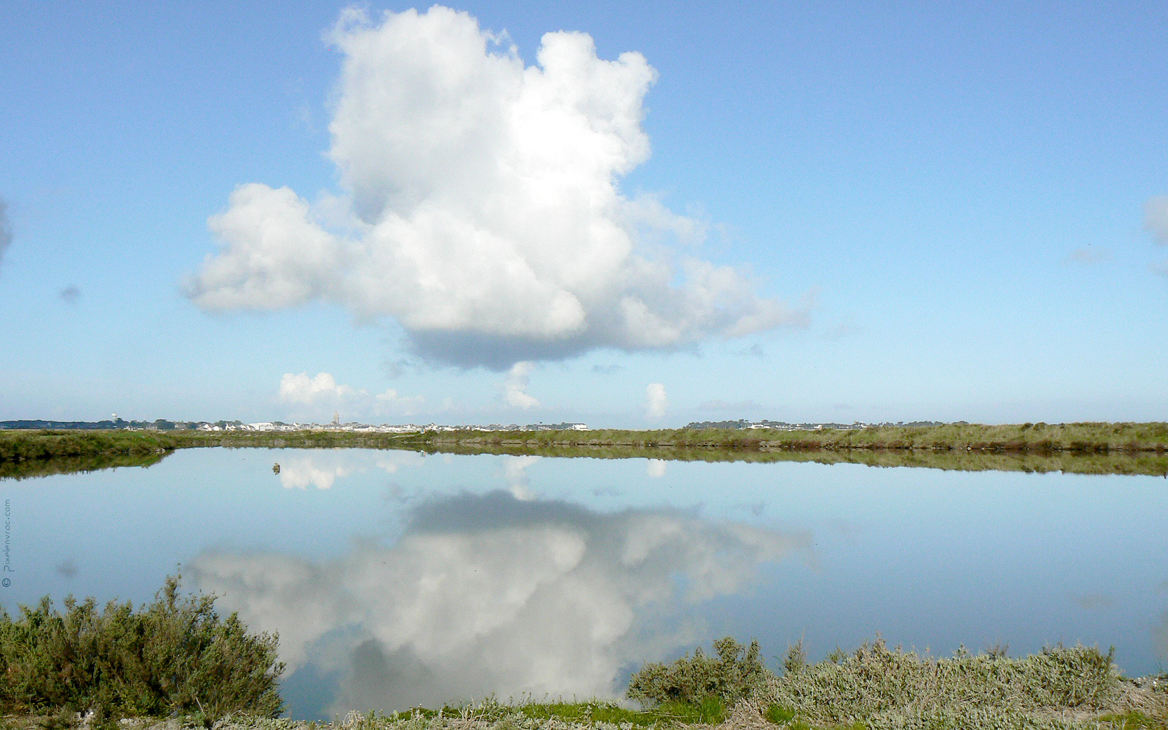 Reflet sur l'eau des marais