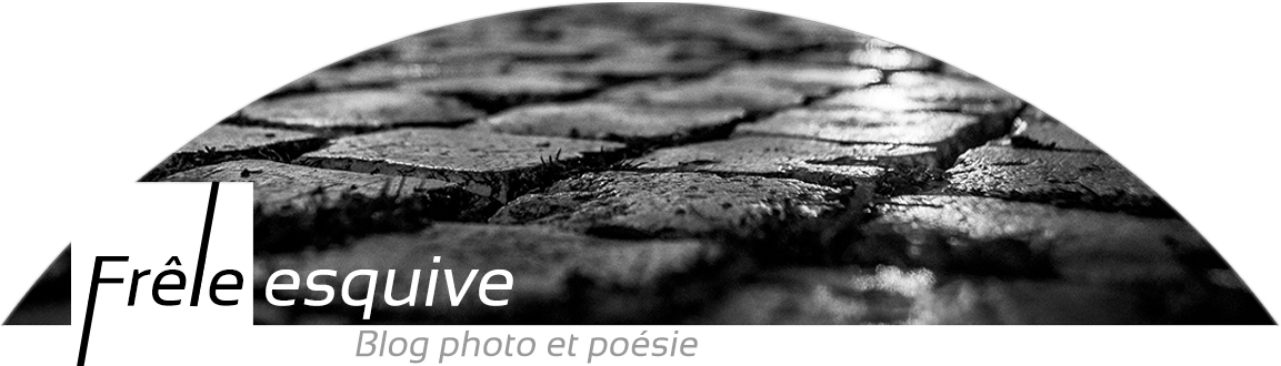 Blog photo et poésie d'un photographe amateur de Bretagne : Frêle esquive