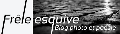 Frêle esquive : blog de photo et poésie