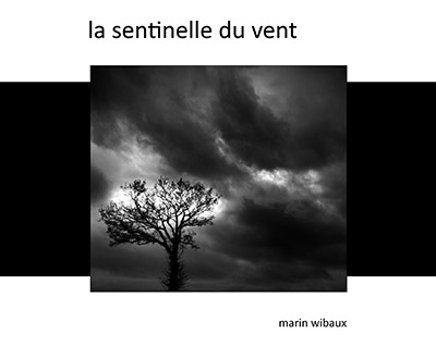 Recueil de poésie et photo noir et blanc d'un photographe amateur de Bretagne : la sentinelle du vent