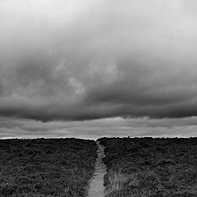 Nature en noir et blanc : sentier des douaniers