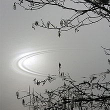 Nature en noir et blanc : rond dans l'eau