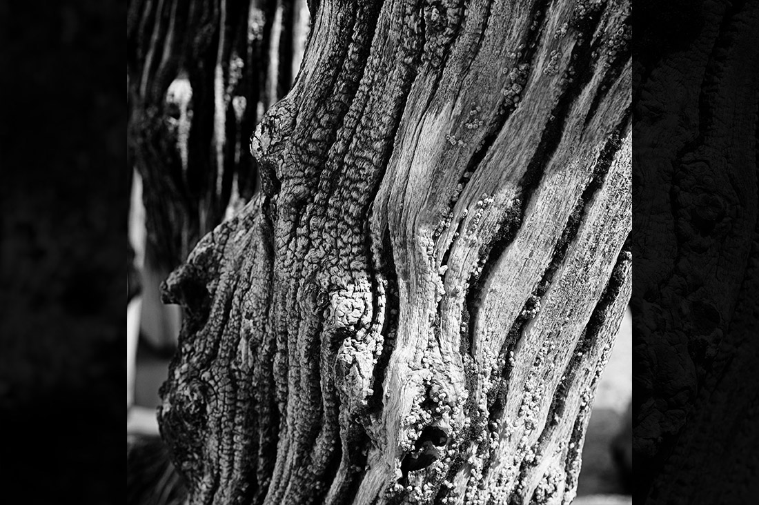 Portrait de bois en noir et blanc de brise-lame de St-Malo : la Gardienne du silence