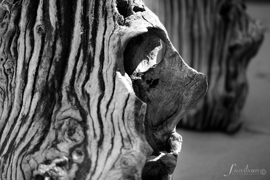 Portrait noir et blanc de brise-lame de St-Malo : le Nez du Quai-Ouest