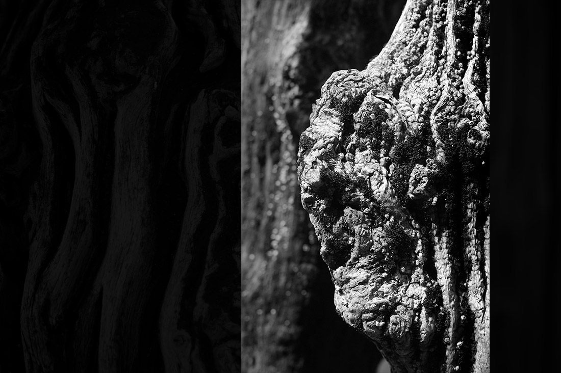 Noir et blanc : portrait de bois de brise-lame de St-Malo : le Sage de granite
