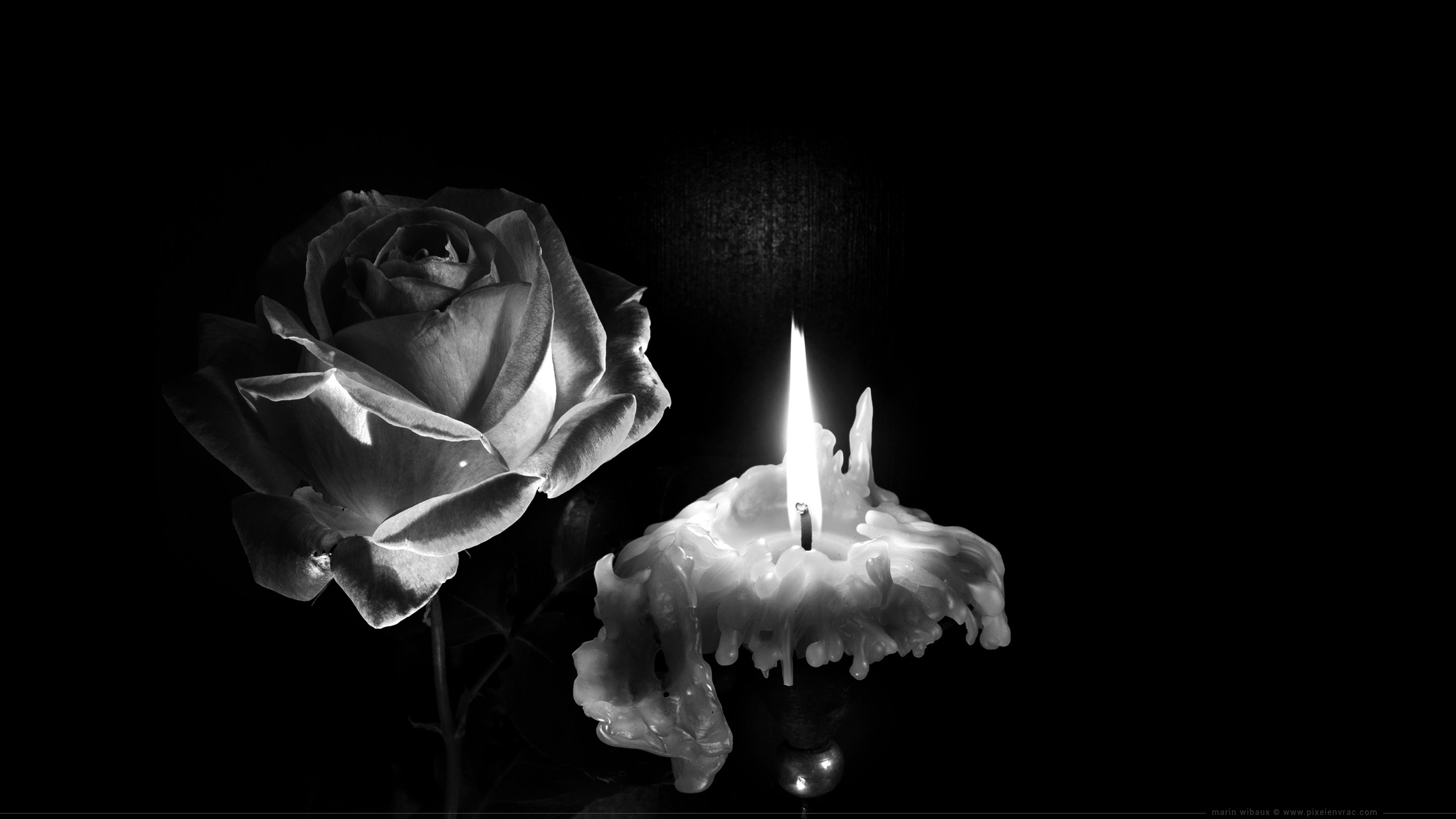 Photo de nature morte : bougie et rose en noir et blanc pour fond d'écran